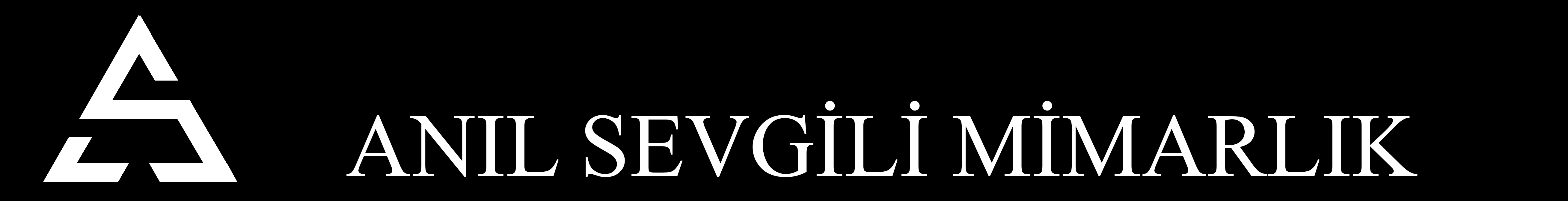 anil sevgili